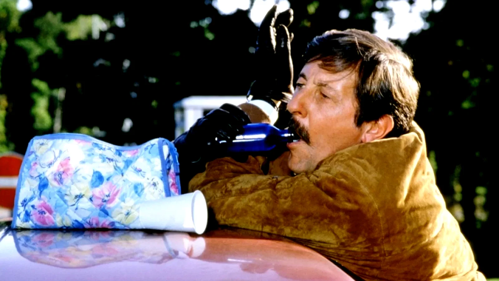Photo 3 du film : Le moustachu