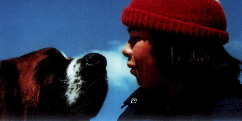 Photo 2 du film : La guerre des tuques