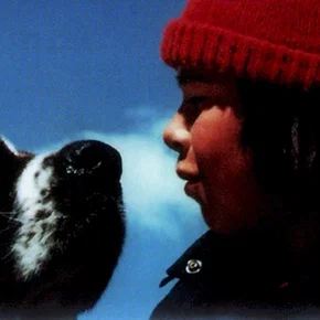 Photo du film : La guerre des tuques