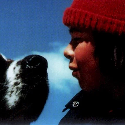 Miniature photo du film : La guerre des tuques