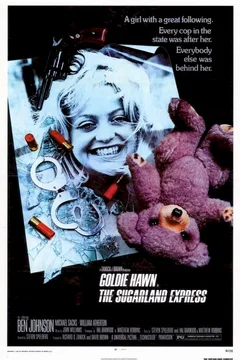Affiche du film Sugarland express