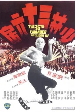 Affiche du film La 36ème Chambre de Shaolin