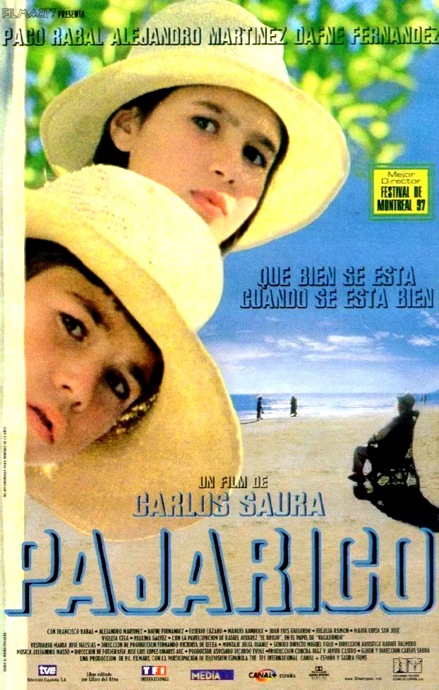 Affiche du film : Pajarico