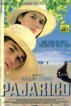 Affiche du film = Pajarico
