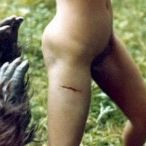 Photo du film : La bete