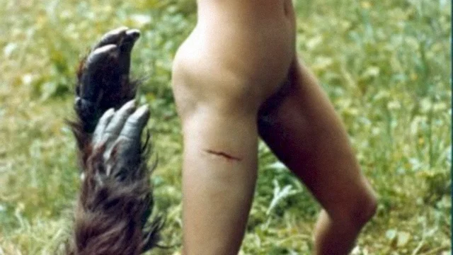Photo 3 du film : La bete