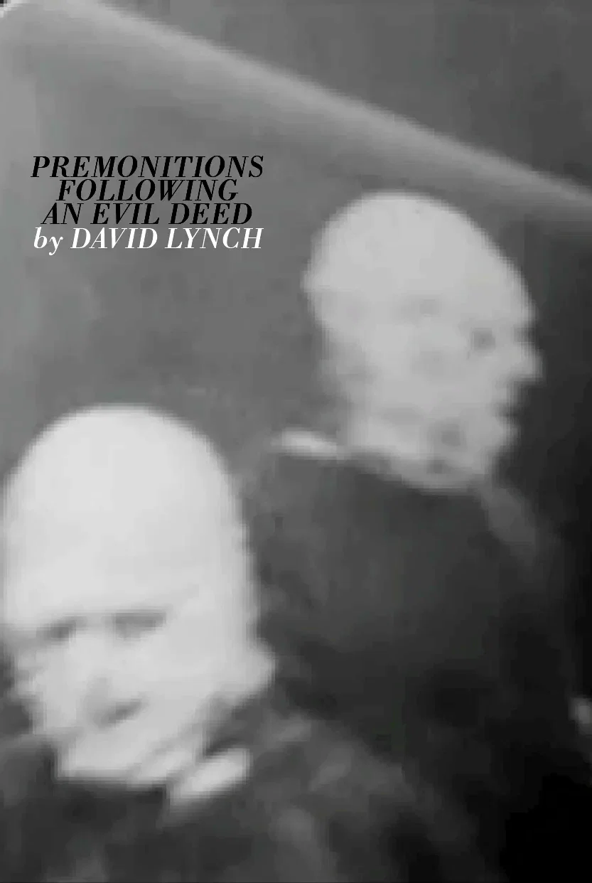 Affiche du film : Premonitions