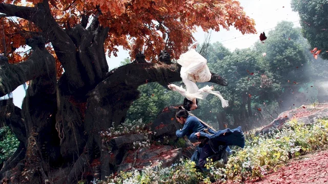 Photo 3 du film : A Chinese Ghost Story