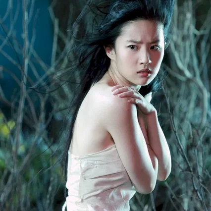 Miniature photo du film : A Chinese Ghost Story