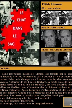 Affiche du film : Le chat dans le sac