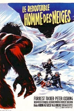 Affiche du film Le redoutable homme des neiges
