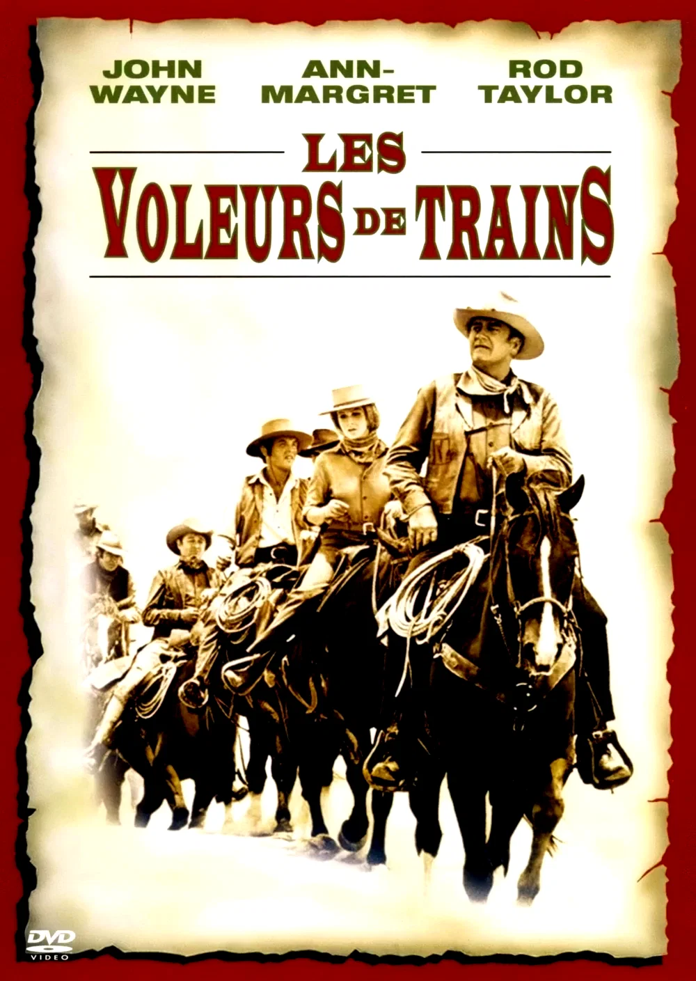 Affiche du film : Les voleurs de train