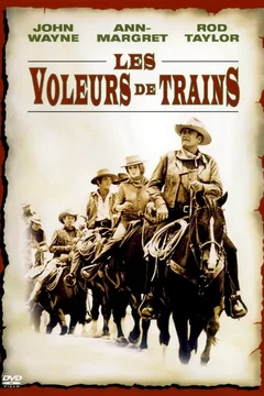 Affiche du film Les voleurs de train