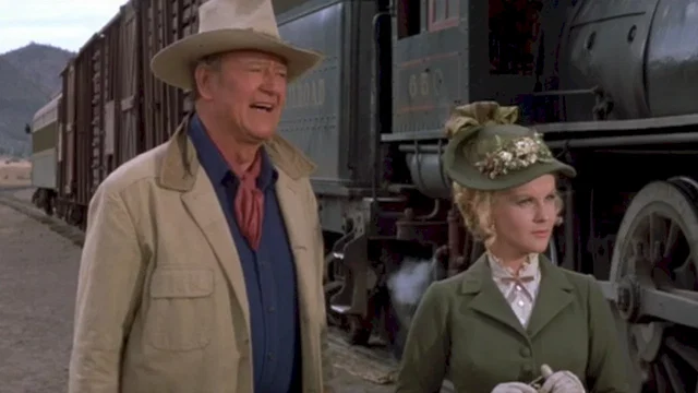 Photo du film : Les voleurs de train