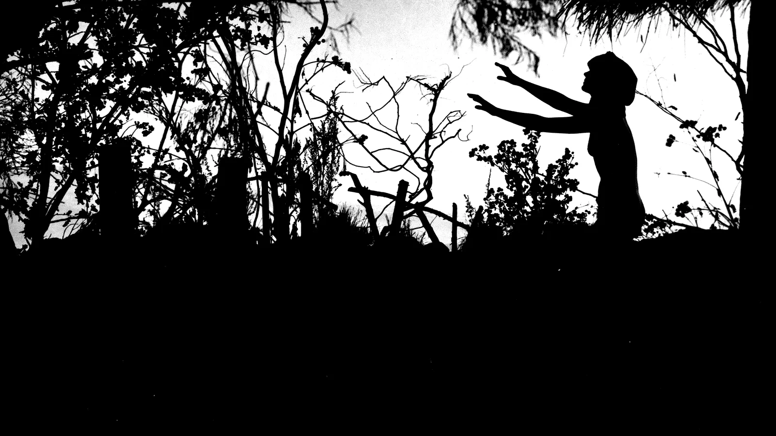 Photo du film : La sorcellerie a travers les ages