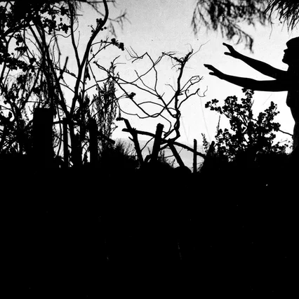 Miniature photo du film : La sorcellerie a travers les ages