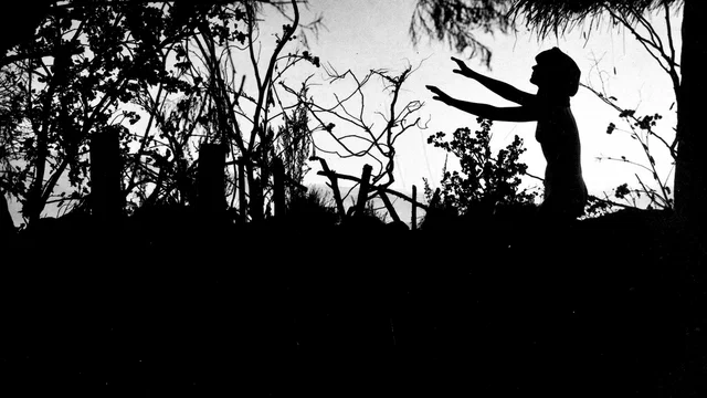 Photo 3 du film : La sorcellerie a travers les ages