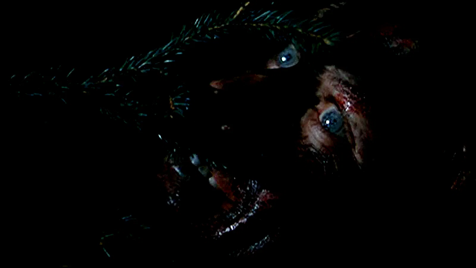 Photo 2 du film : Vorace