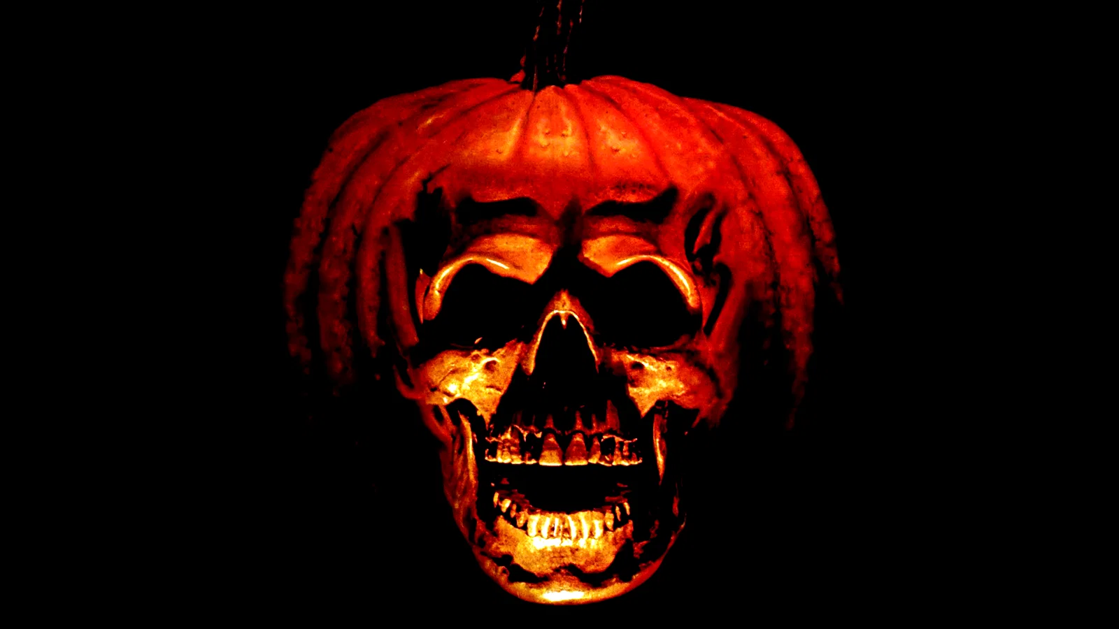 Photo 8 du film : Halloween ii