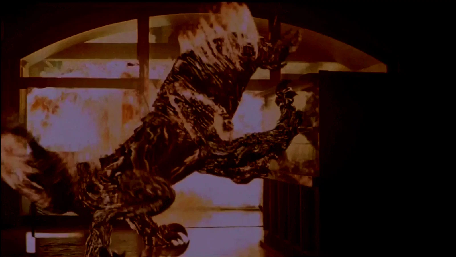 Photo du film : Relic