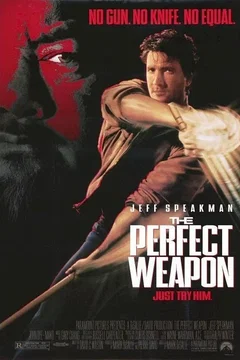 Affiche du film L'arme parfaite