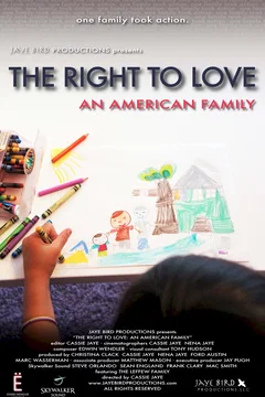 Affiche du film American Love