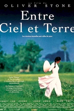 Affiche du film Entre ciel et terre