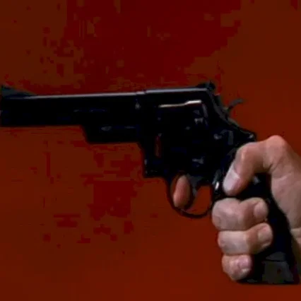 Miniature photo du film : Magnum force