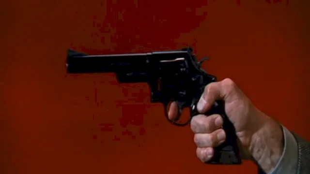 Photo du film : Magnum force