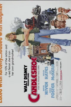 Affiche du film La course au tresor