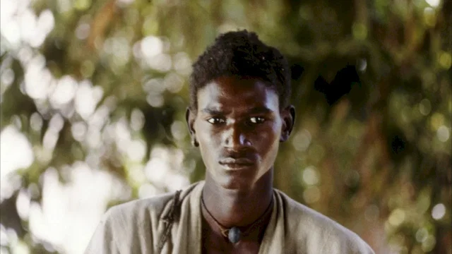 Photo 2 du film : Yeelen