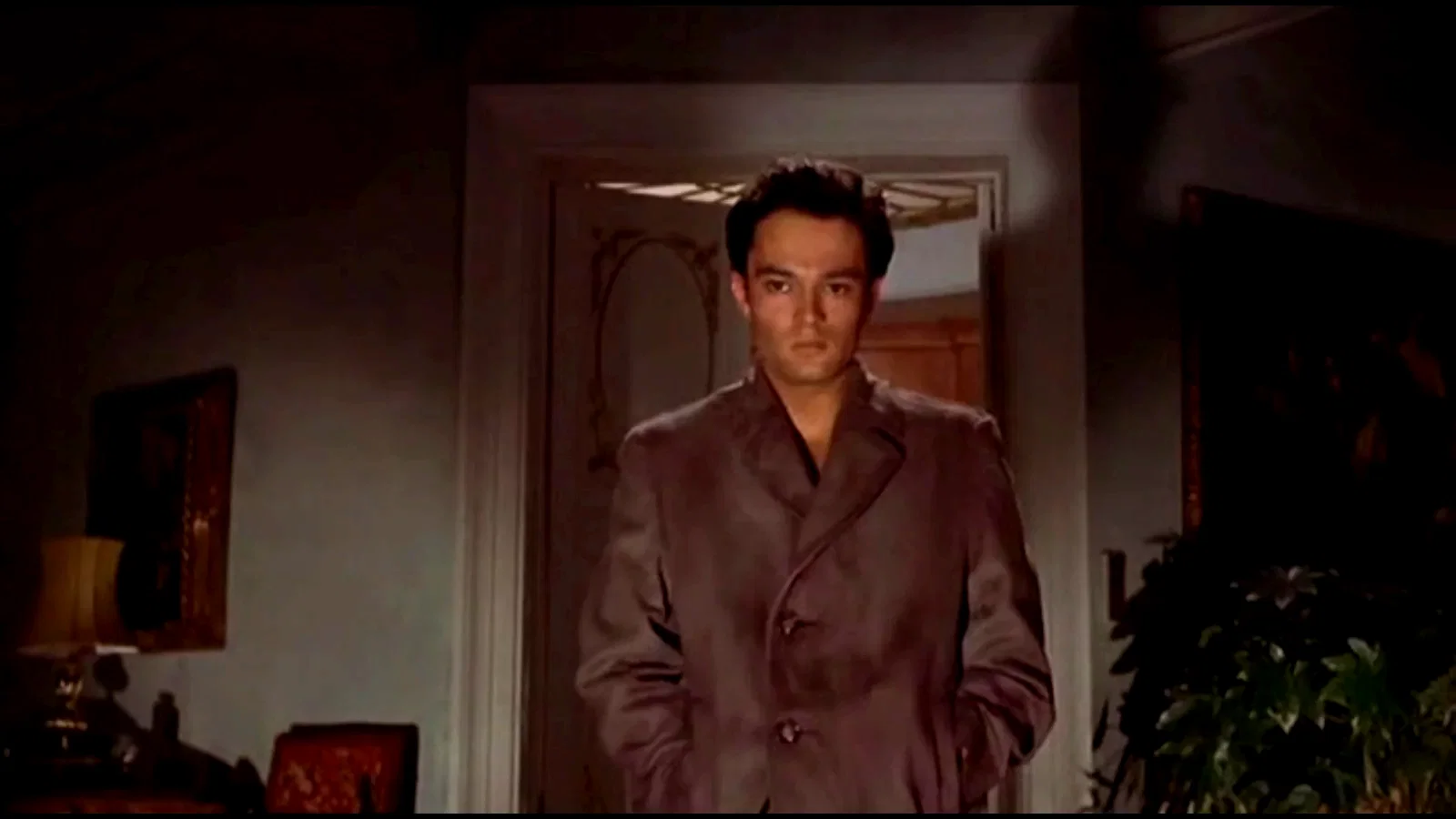 Photo 4 du film : Le visage du plaisir