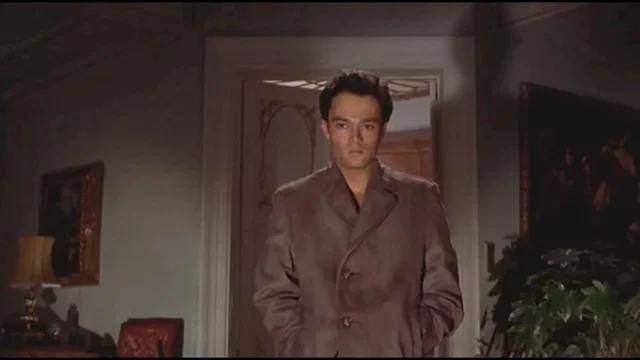 Photo 4 du film : Le visage du plaisir