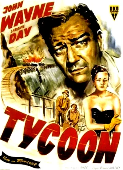 Affiche du film : Taikoun