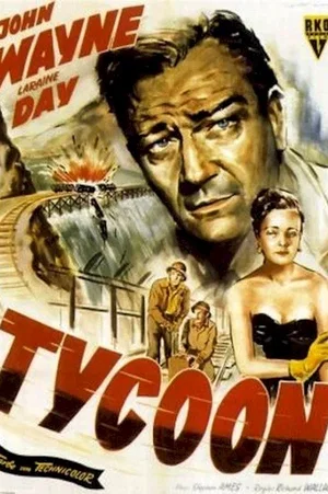 Affiche du film : Taikoun