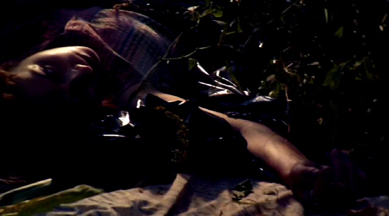 Photo 3 du film : The Fields 
