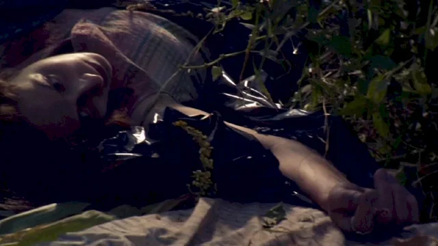 Photo 3 du film : The Fields 