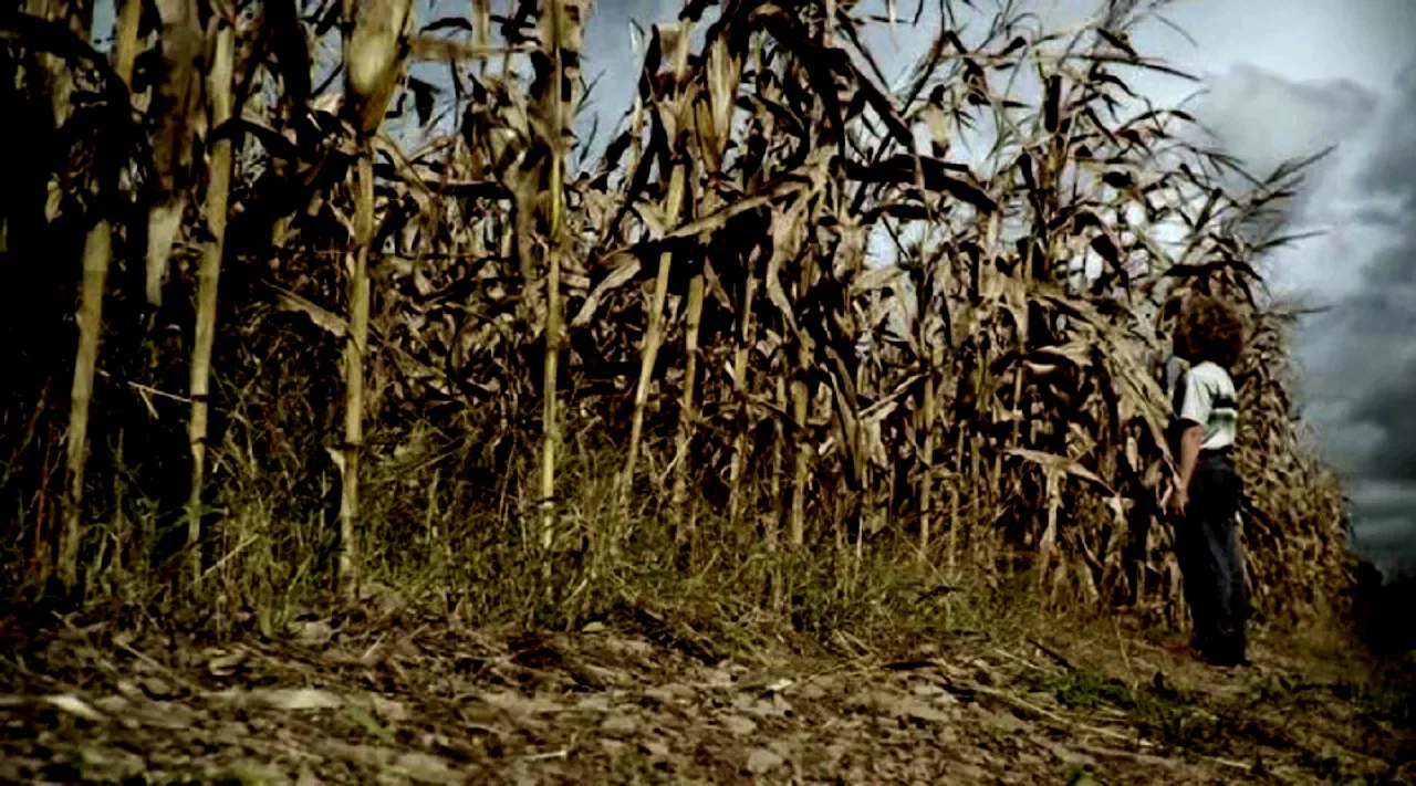 Photo 4 du film : The Fields 