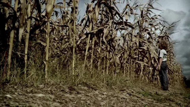 Photo 4 du film : The Fields 