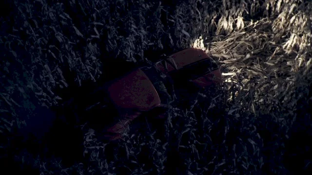 Photo 5 du film : The Fields 