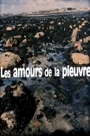 Affiche du film : Les amours de la pieuvre