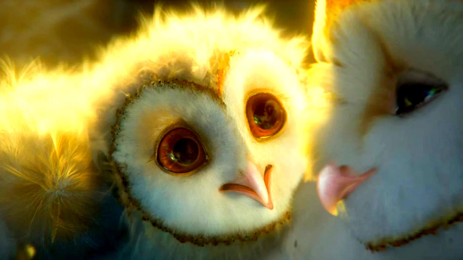 Photo 2 du film : The Guardians