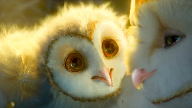Photo du film : The Guardians