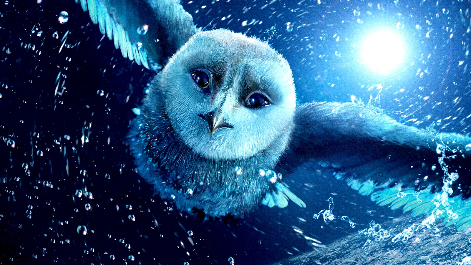 Photo 3 du film : The Guardians
