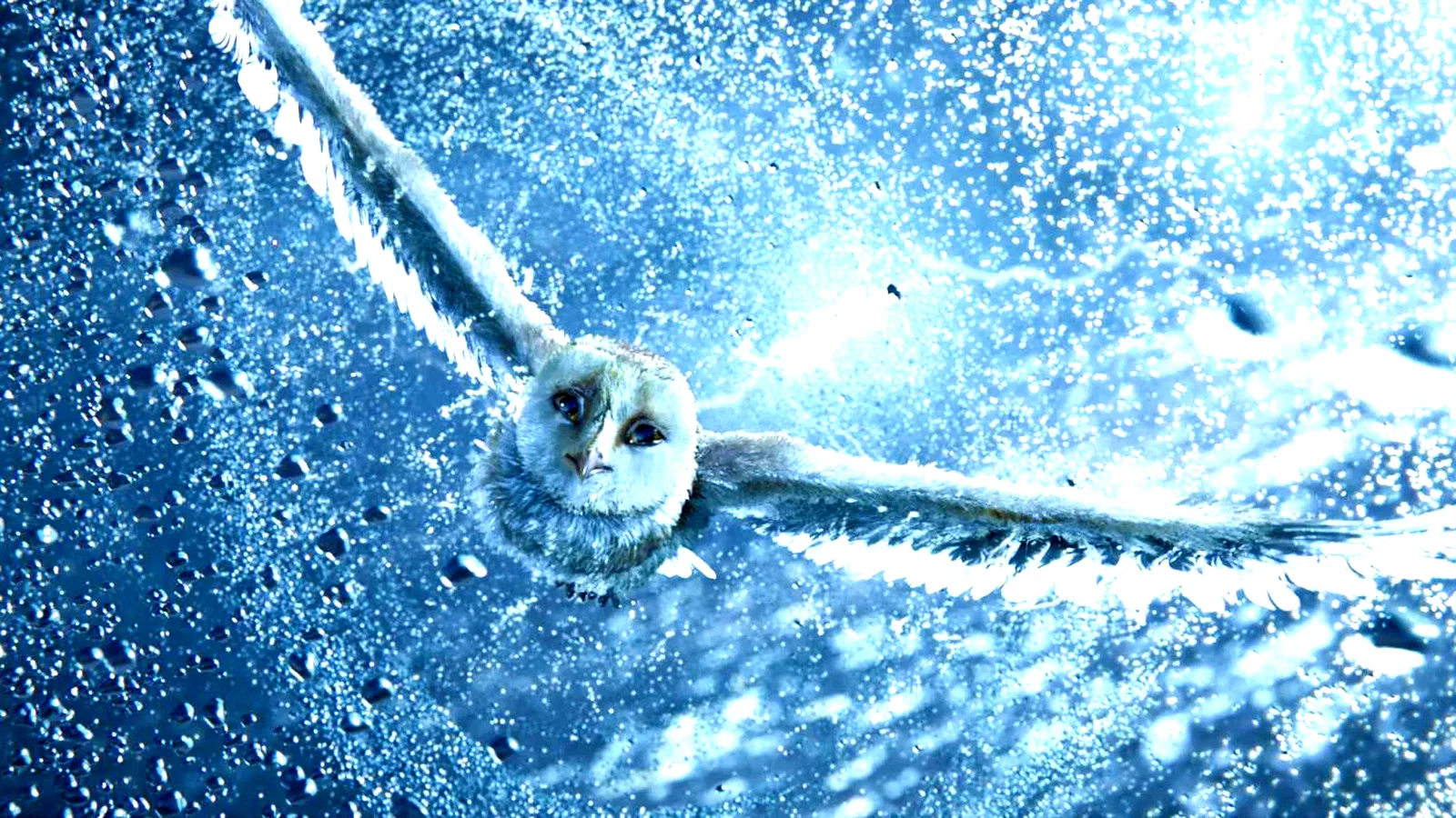 Photo 4 du film : The Guardians