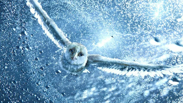 Photo du film : The Guardians