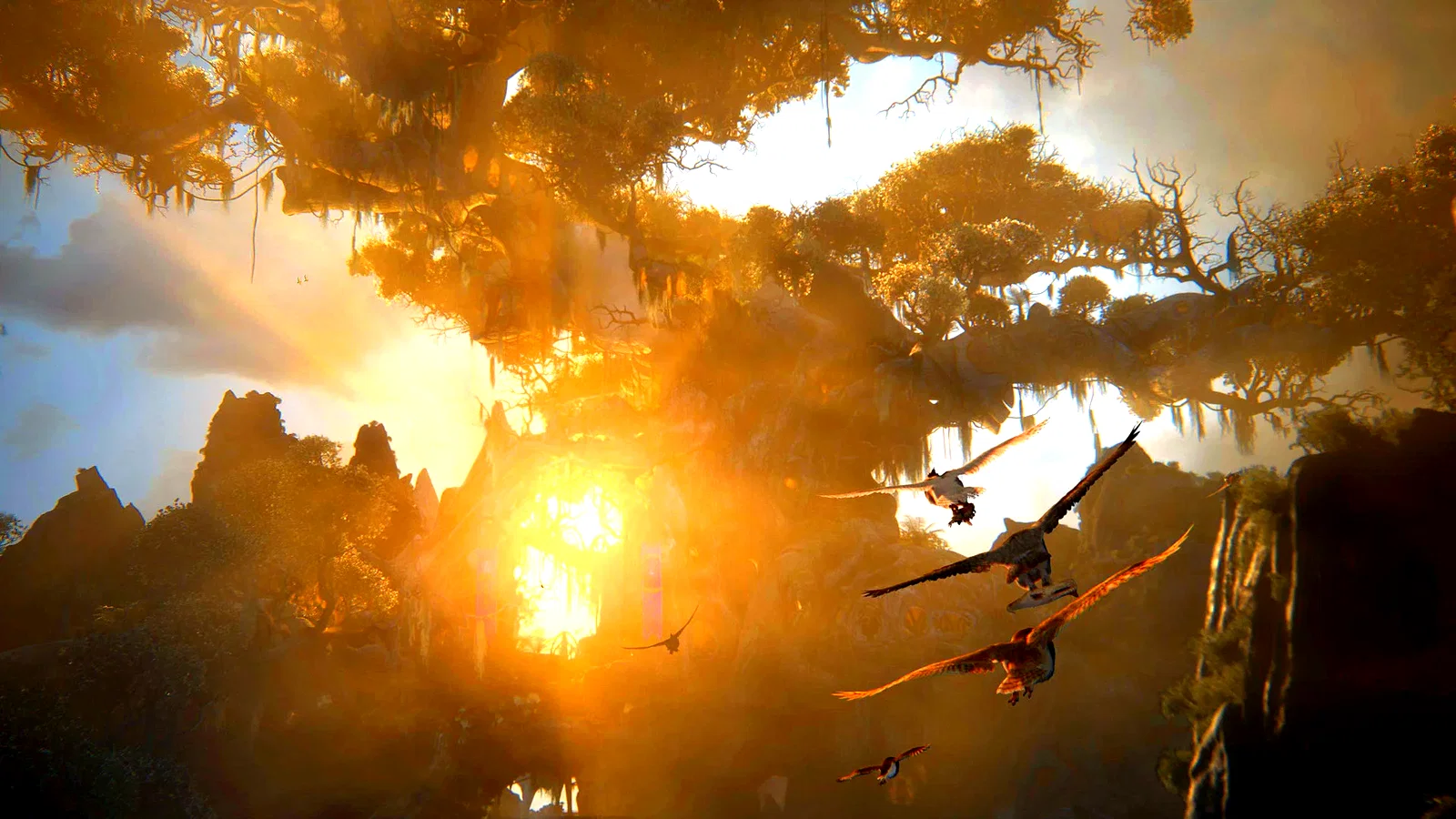 Photo 9 du film : The Guardians