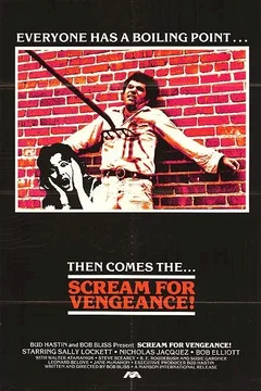 Affiche du film Vengeance