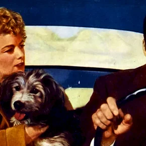 Photo du film : La peur au ventre