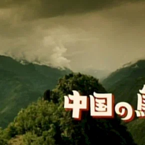 Photo du film : Bird People in China